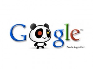 Google PANDA